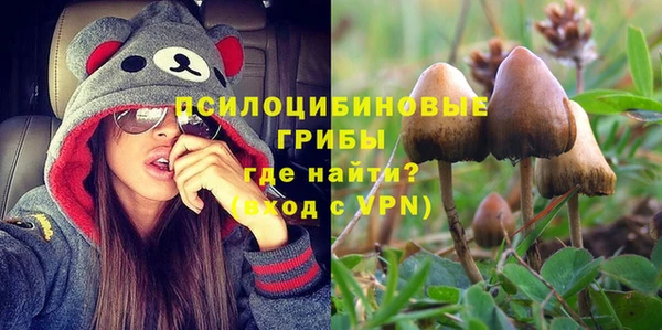 соль ск Алзамай