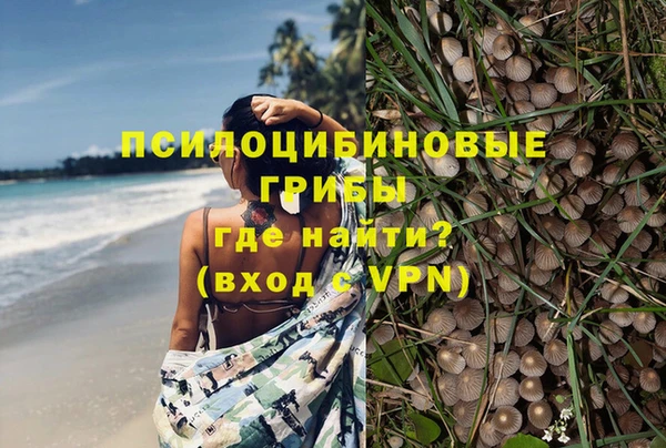 кокаин колумбия Алексин